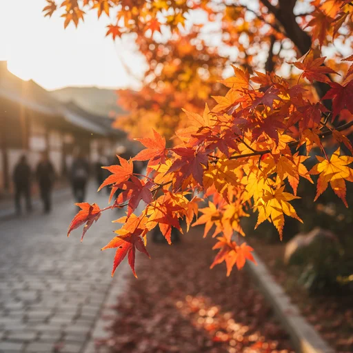 Top Attractions & Must-Visit Itineraries for Gapyeong Autumn